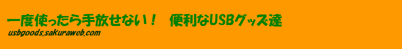 xgȂI@֗USBObYB
